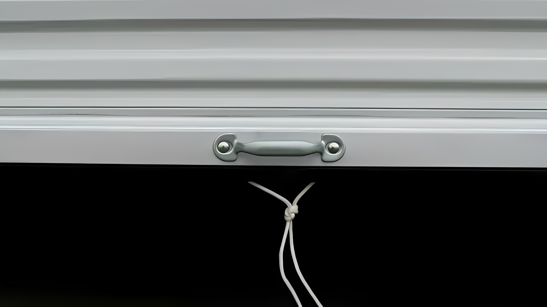 24ft Storage Container with Roll Up Door5