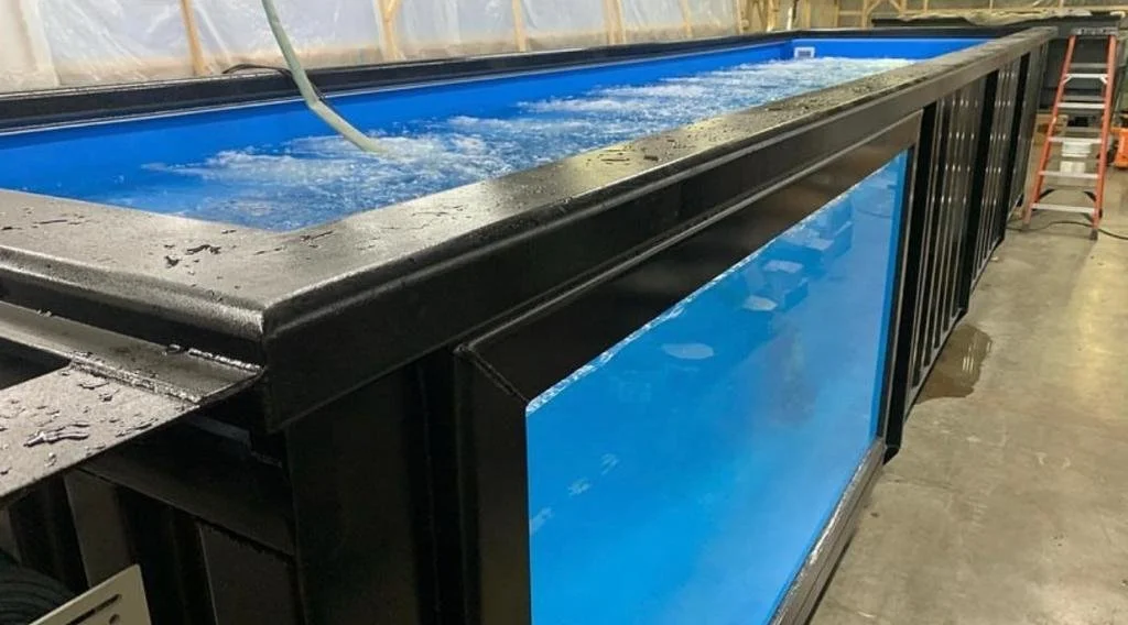 40Ft Container Swimming Pools2